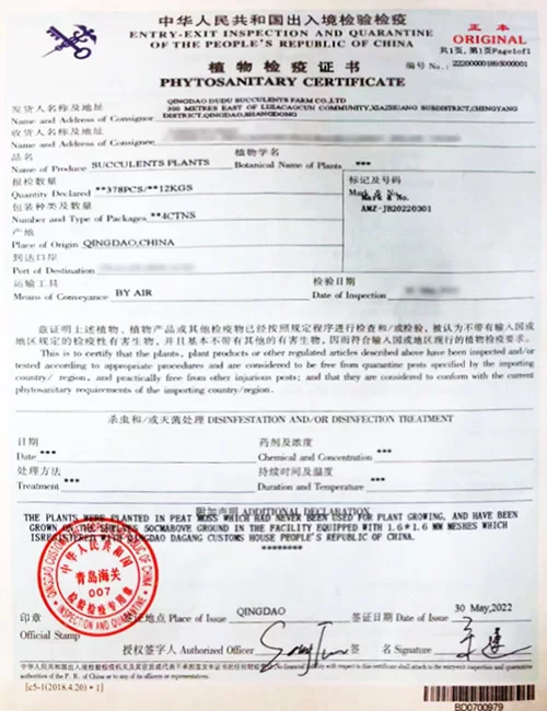 zhengshu-1