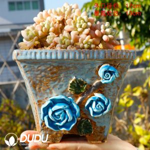 Ceramic thumb pot for succulents